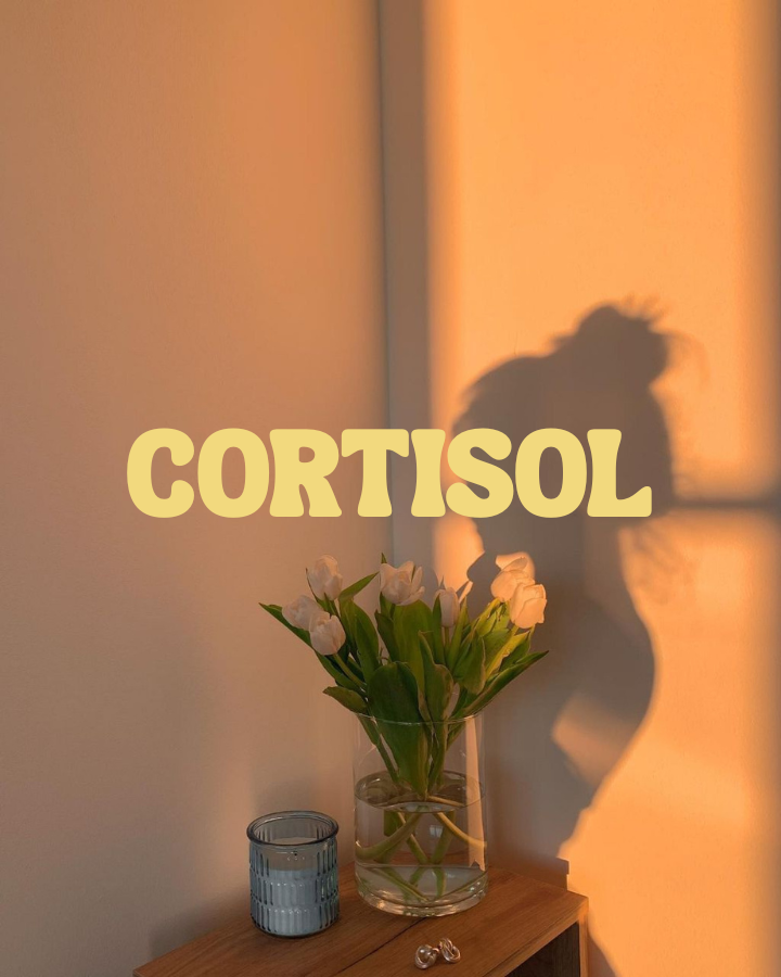 Matcha Anti-Stress - Guide Complet pour Réduire le Cortisol Naturellement